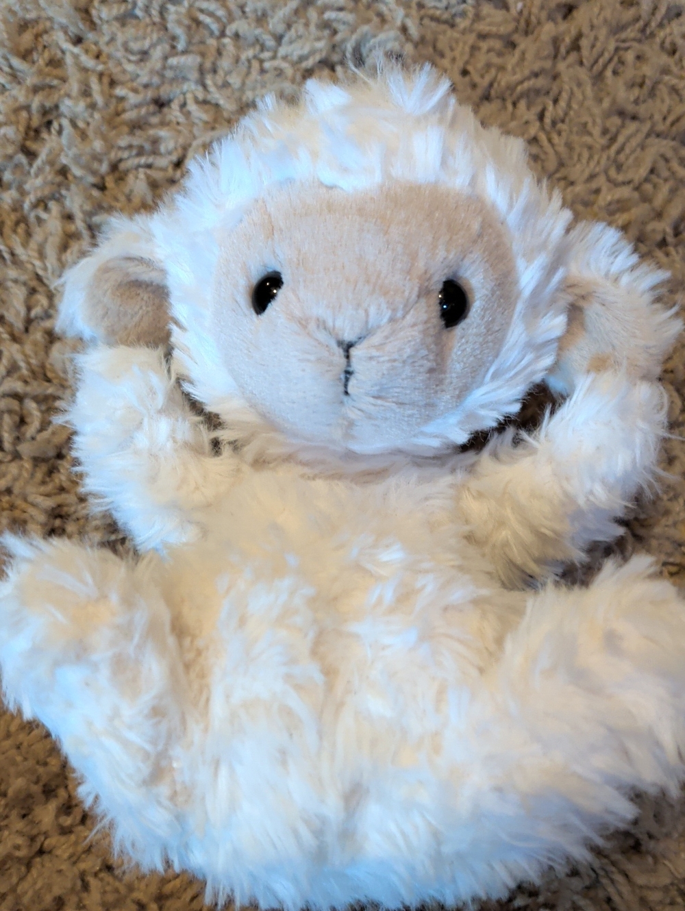 Jellycat 6" Cream and White Lamb Plush Toy